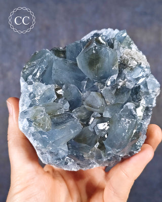 Celestite cluster from Madagascar in hand