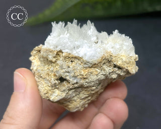 Celestite - Muculufa Mine #14