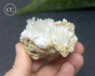 Celestite - Muculufa Mine #14