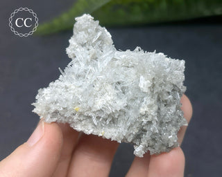 Celestite - Muculufa Mine #15