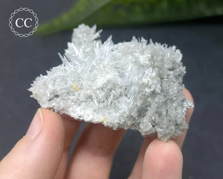 Celestite - Muculufa Mine #15