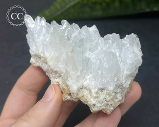 Celestite - Muculufa Mine #13