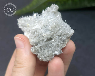 Celestite - Muculufa Mine #15