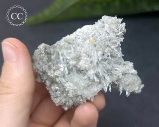 Celestite - Muculufa Mine #15