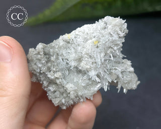 Celestite - Muculufa Mine #15