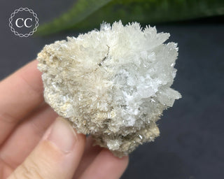 Celestite - Muculufa Mine #16