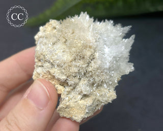 Celestite - Muculufa Mine #16