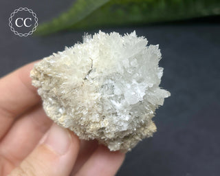 Celestite - Muculufa Mine #16