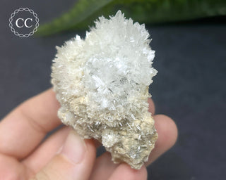 Celestite - Muculufa Mine #16