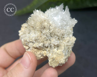 Celestite - Muculufa Mine #16