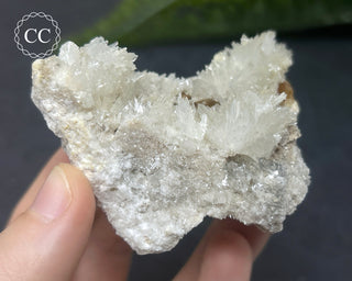 Celestite - Muculufa Mine #17