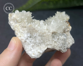 Celestite - Muculufa Mine #17