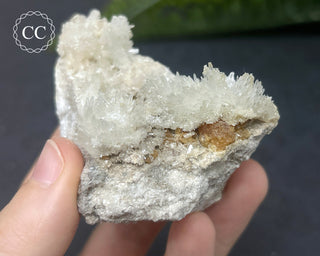 Celestite - Muculufa Mine #17