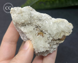 Celestite - Muculufa Mine #17