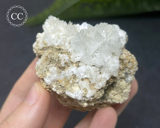 Celestite - Muculufa Mine #14