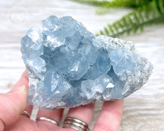 Celestite #7