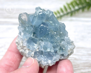 Celestite #17