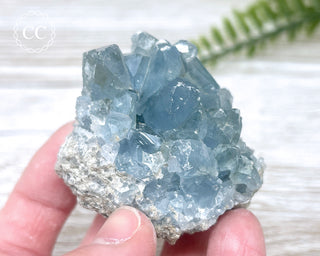 Celestite #17