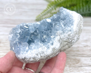 Celestite #11