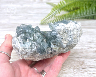 Celestite #1