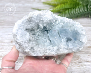 Celestite #21