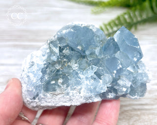 Celestite #8