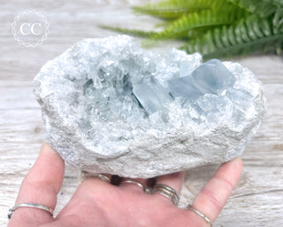 Celestite #21