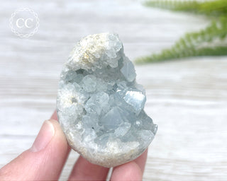 Celestite Egg #12