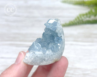 Celestite Freeform #13