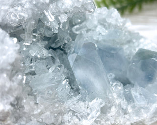 Celestite #21