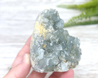 Celestite Freeform #1