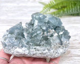 Celestite #1