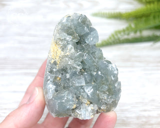 Celestite Freeform #1