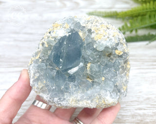 Celestite Geode #3