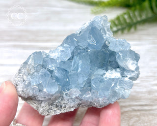 Celestite #7