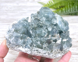 Celestite #1