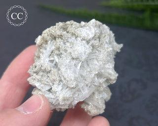 Celestite Specimen - Clay Center #3