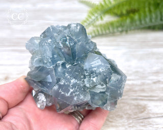 Celestite #2