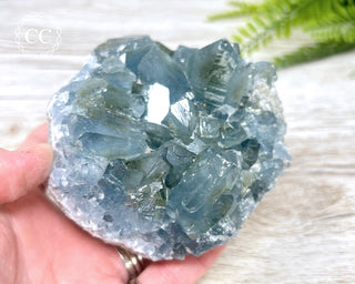 Celestite #4