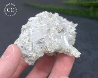 Celestite Specimen - Clay Center #3