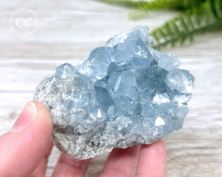 Celestite #7
