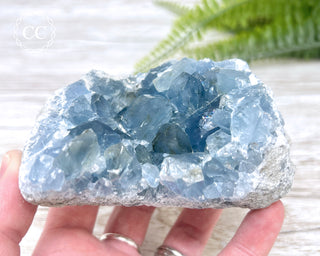 Celestite #4