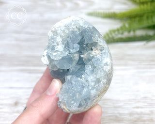 Celestite Egg #5