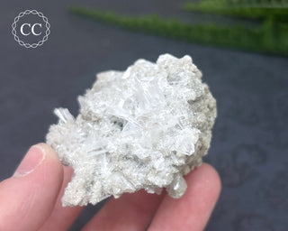 Celestite Specimen - Clay Center #3