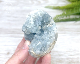 Celestite Egg #5