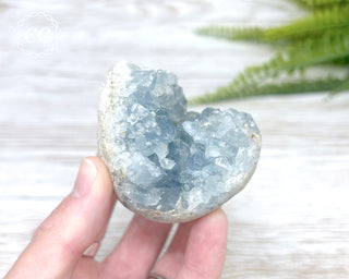 Celestite Egg #5