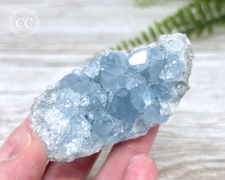 Celestite #12