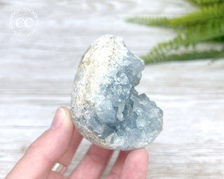 Celestite Egg #5