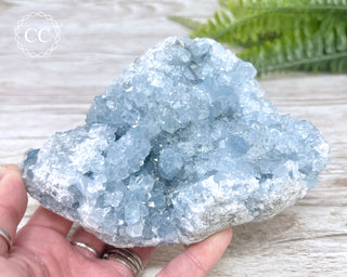 Celestite #5
