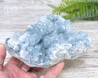 Celestite #5